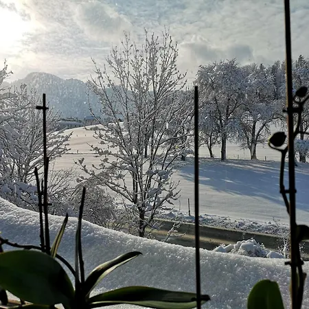 Schwarzindien Sankt Lorenz (Vocklabruck)