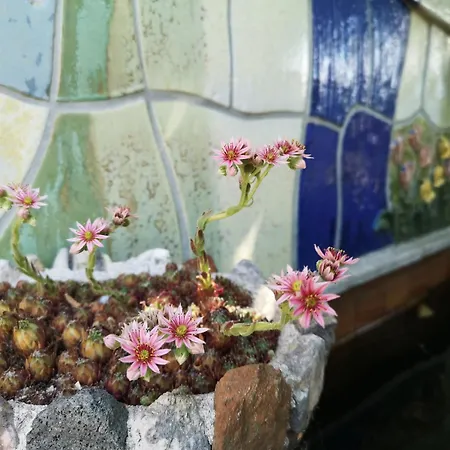 Schwarzindien Lejlighed