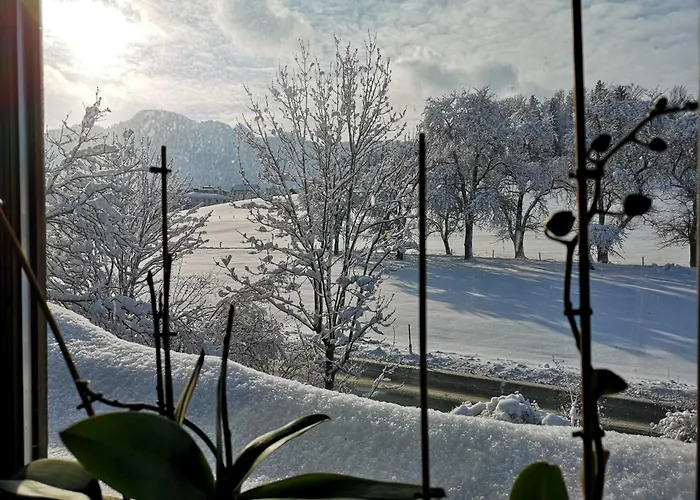 Schwarzindien Sankt Lorenz (Vocklabruck)