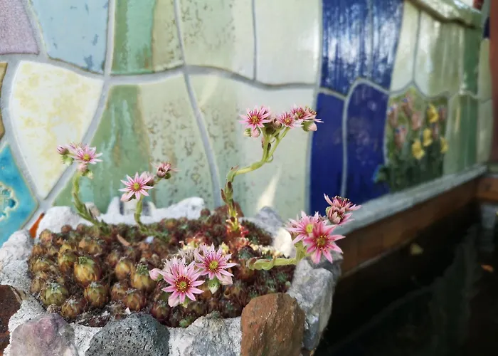 Schwarzindien 아파트